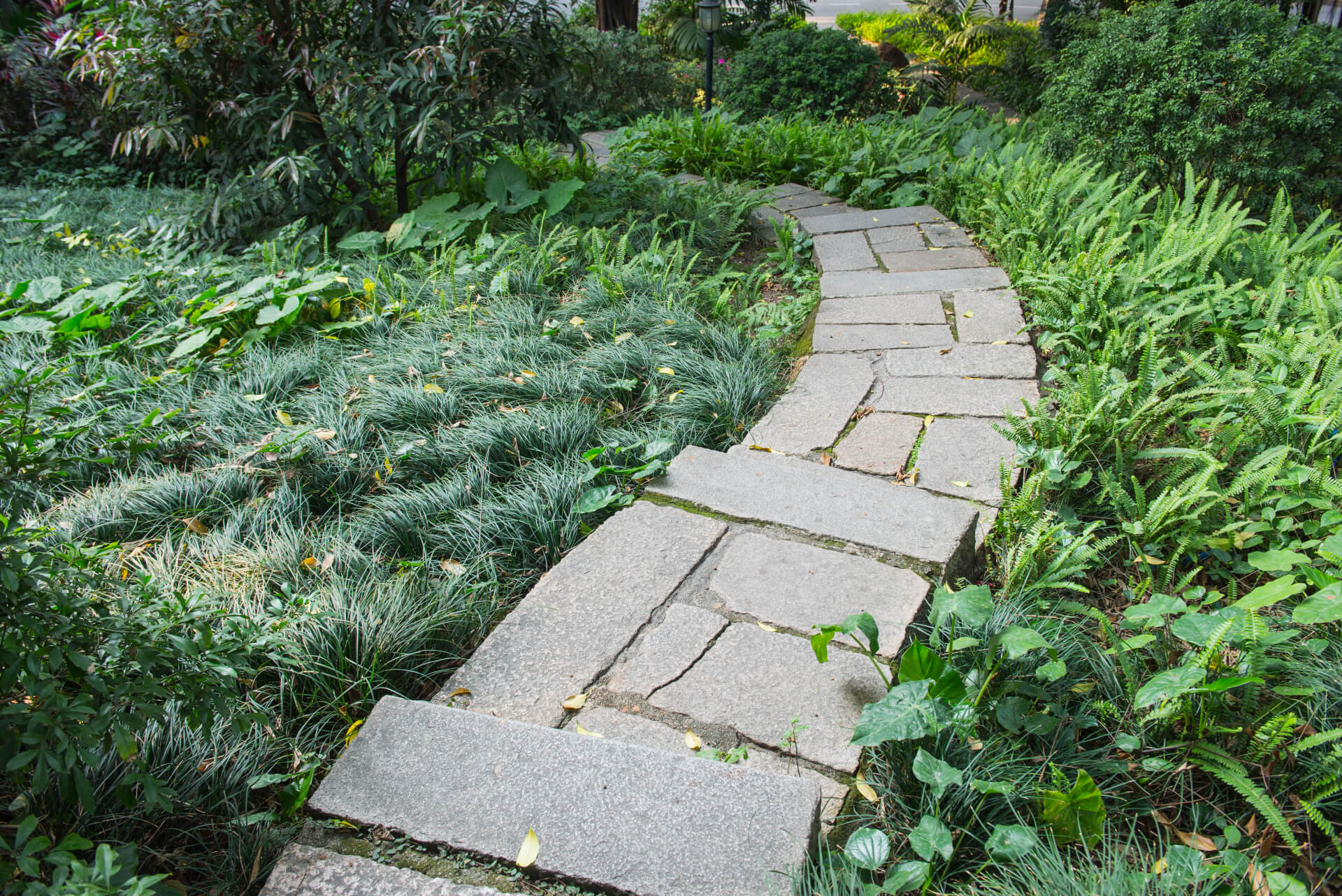 stone-path-with-grass-growing-up