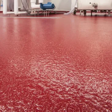 rs=w 365,h 365,cg true