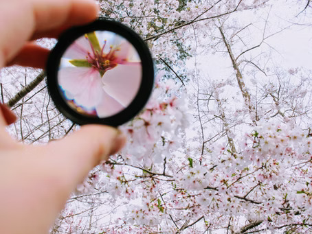 How CEOs Can Leverage Focus